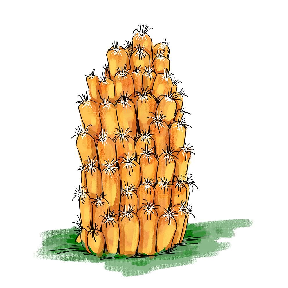 46亿岁的地球-生物多样的古生代（图ZMzY3MjE5ODI4） - 商业插画 - 站酷设计师点琢工作室原创素材 - 站酷ZCOOL