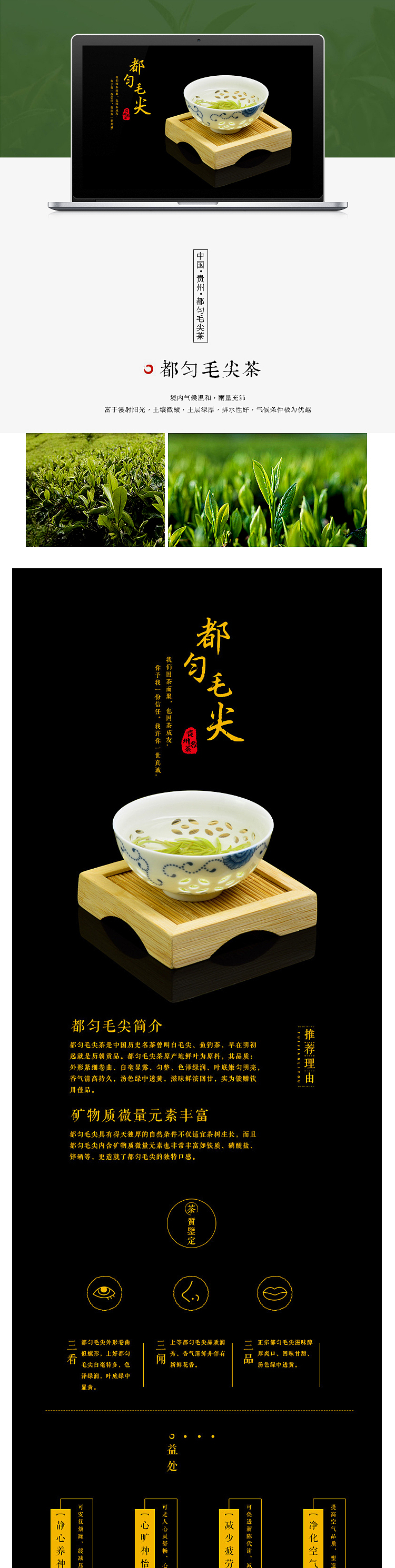 都匀毛尖淘宝茶叶详情页