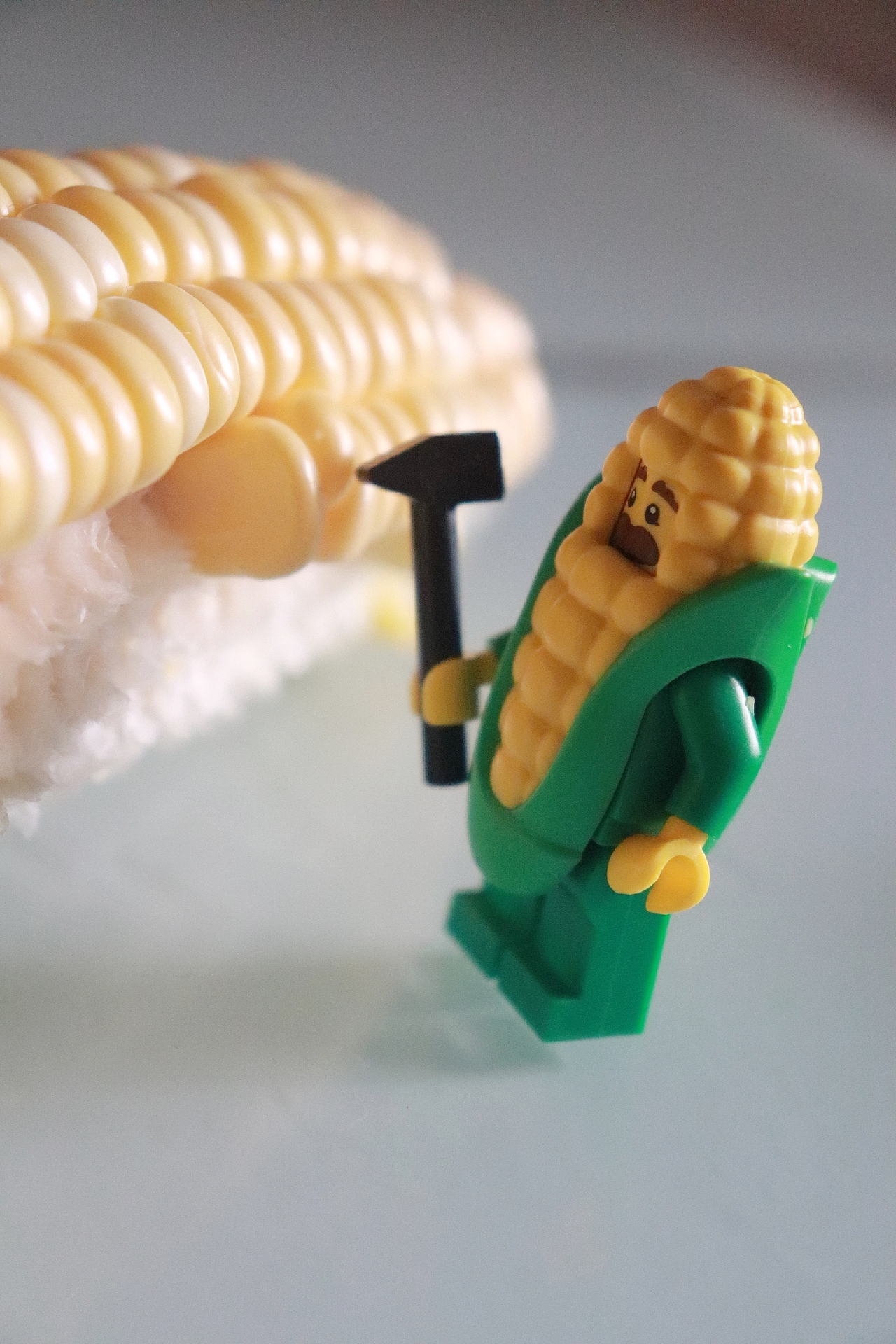 樂高之蔬菜大冒險（圖ZMTQxMDUwODE2） - 其他攝影 - 站酷設(shè)計師拍拍拍的旺仔醬原創(chuàng)素材 - 站酷ZCOOL