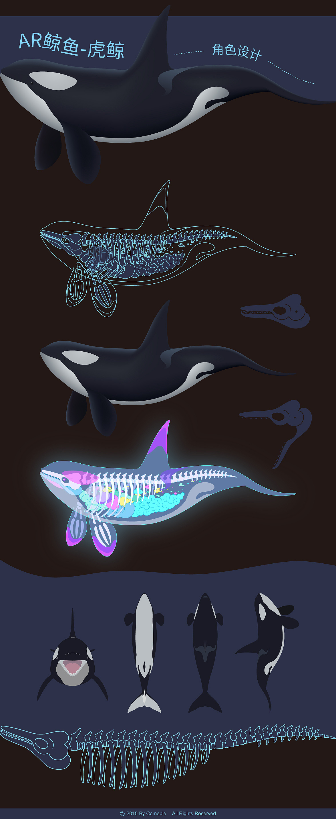 ar海洋馆虎鲸设定