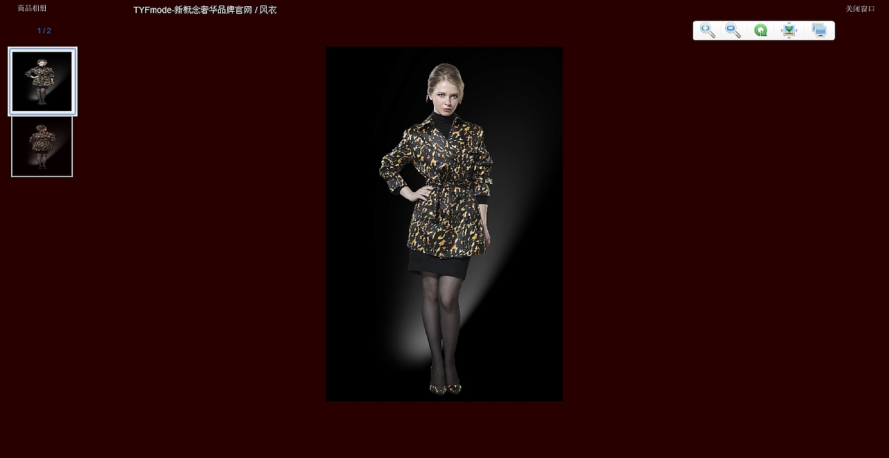 法国TYF奢华品官网商城（图ZNDIzMjU4OA==） - 图标 - 站酷设计师missyour原创素材 - 站酷ZCOOL