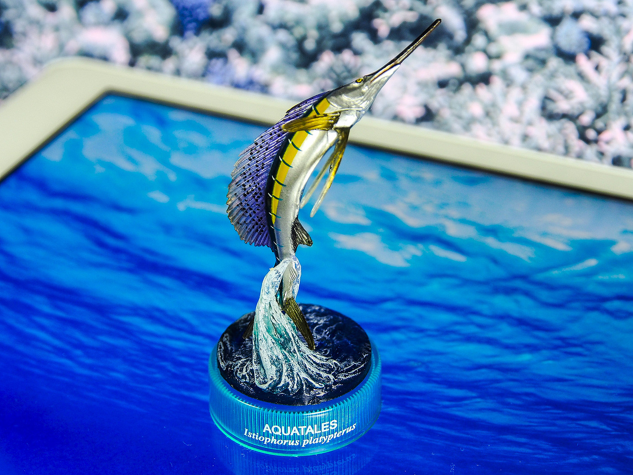 平鳍旗鱼 Indo-Pacific sailfish Istiophorus platypterus<br><br>是海洋中速度最快的鱼之一,游速可达109公里/小时,吃我超速罚单!旗鱼捕食鱼类、甲壳类、头足类等,它尖尖的嘴可不是用来叉鱼的啊(笑)造型特别棒