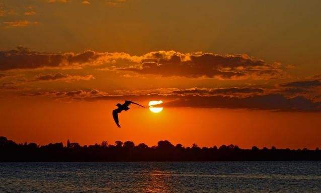 意燭的個人主頁（封面預覽） - 主頁封面設(shè)置 - 站酷設(shè)計師意燭原創(chuàng)素材 - 站酷ZCOOL