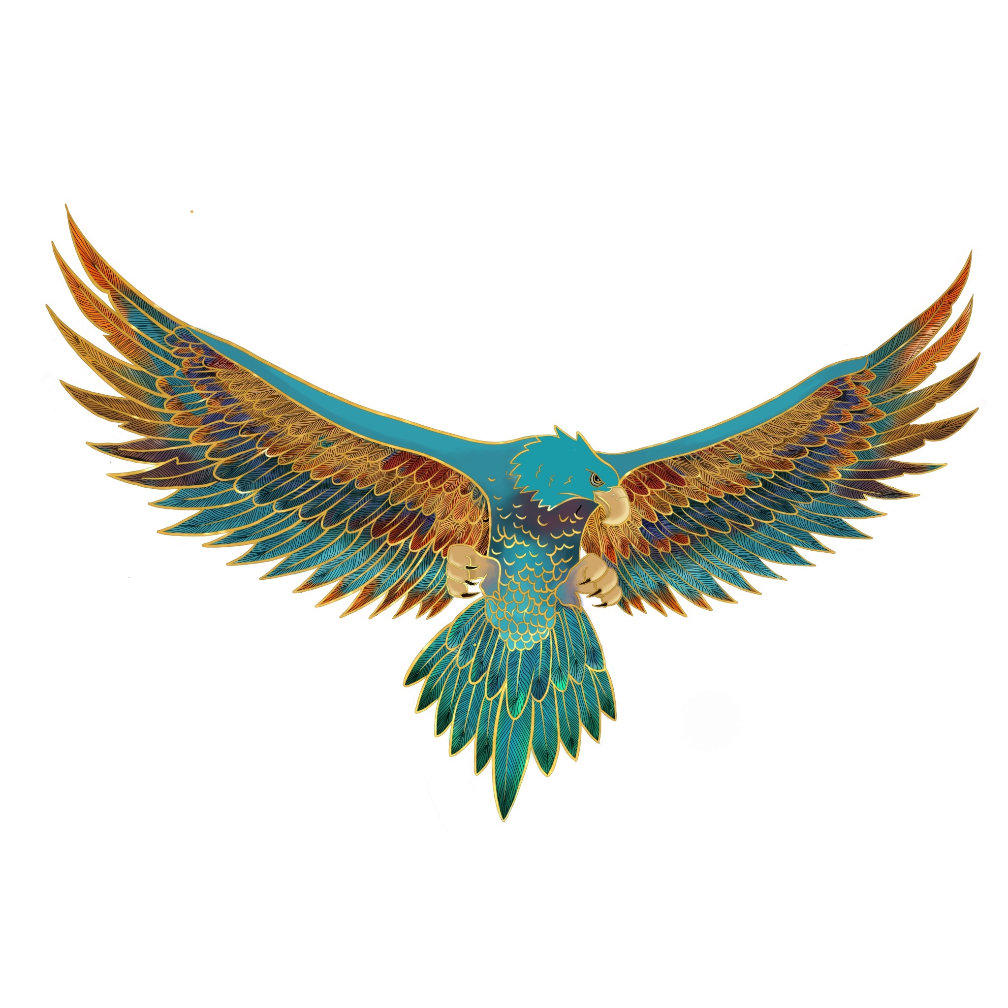 今日练习 鹰|插画|创作习作|三只木木 - 临摹作品 - 站酷 (zcool)