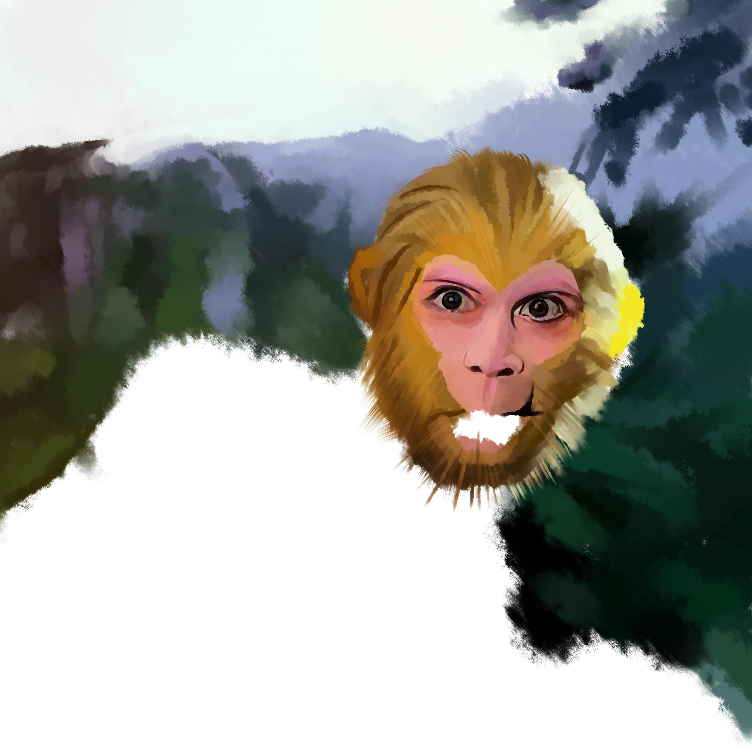 照片写实风猴子