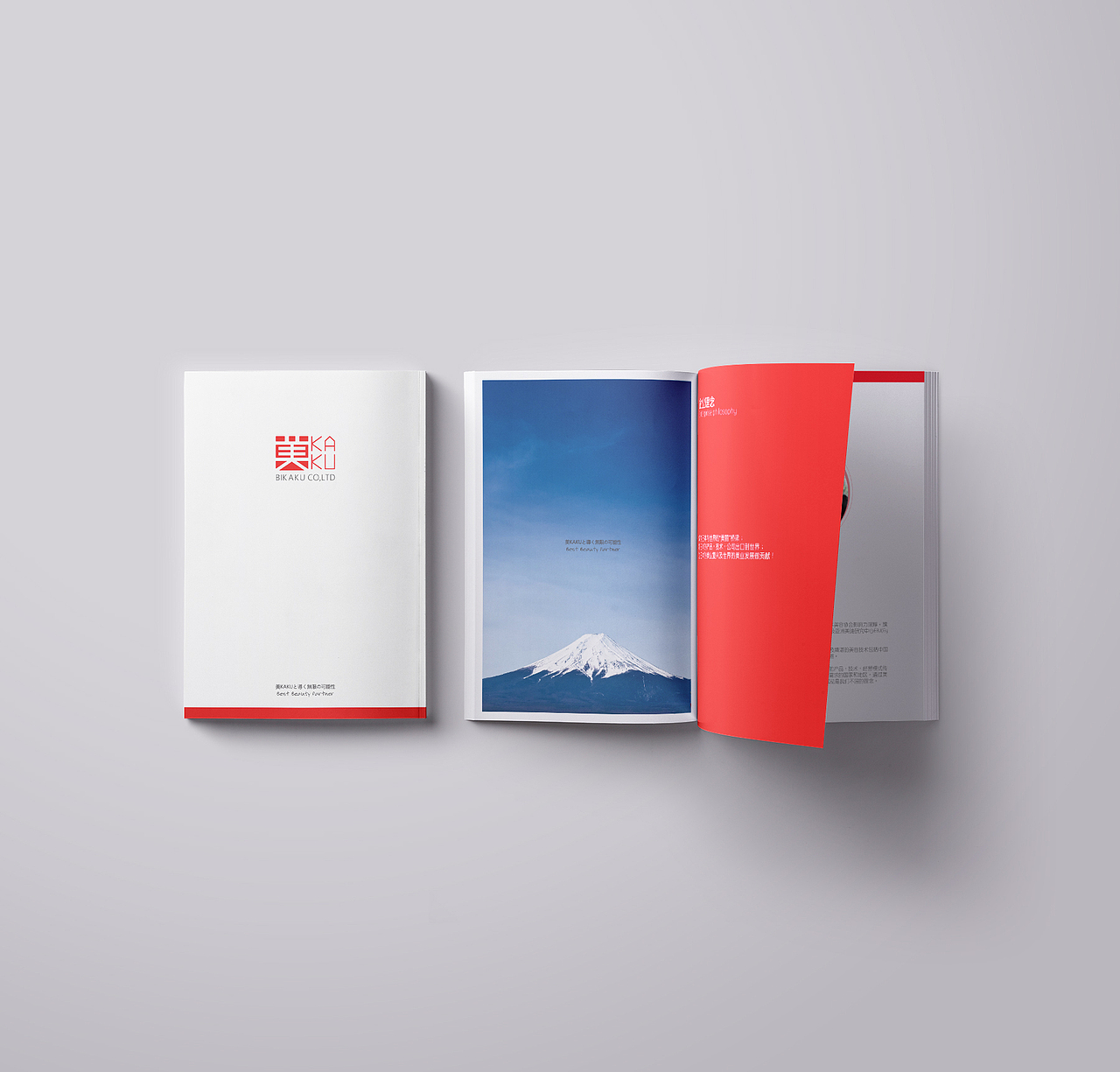 日本BIKAKU宣传册设计