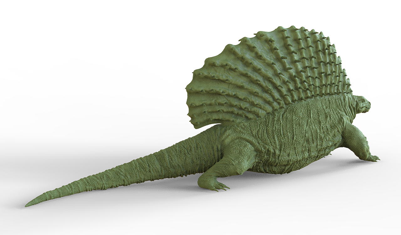 远古异齿龙3d打印模型