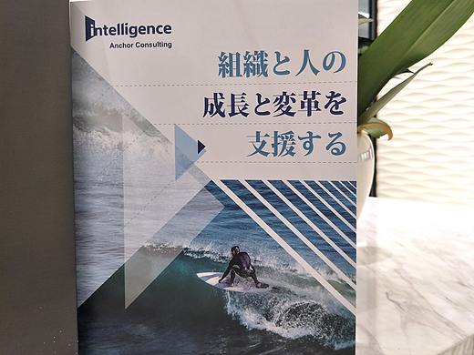 企业画册-英创安众咨询公司