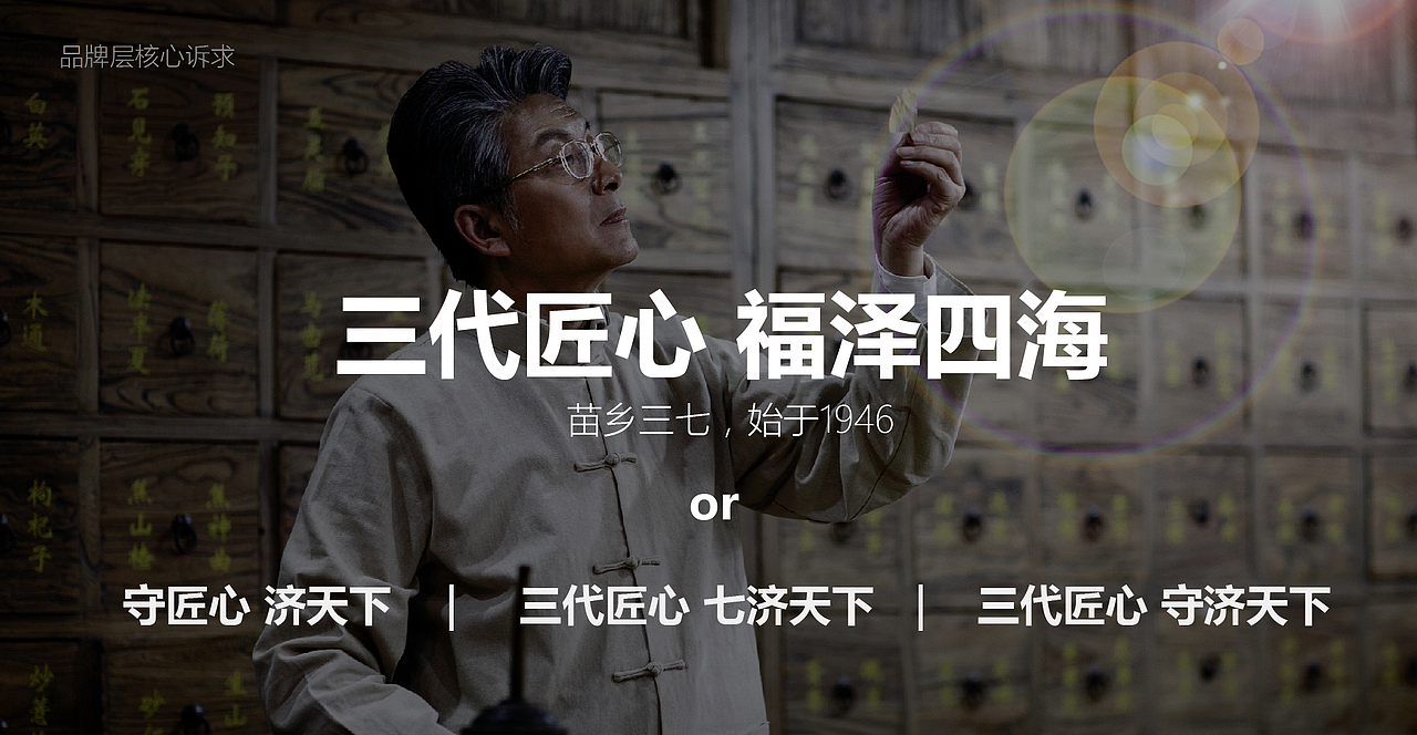 苗乡三七品牌vi设计