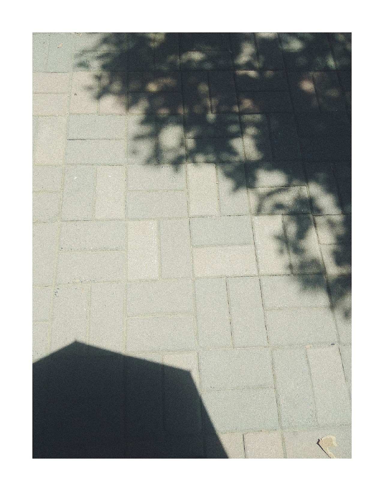 夏（圖ZMTE3NTA3Nzcy） - 風(fēng)光攝影 - 站酷設(shè)計(jì)師殺死花期的兇手原創(chuàng)素材 - 站酷ZCOOL