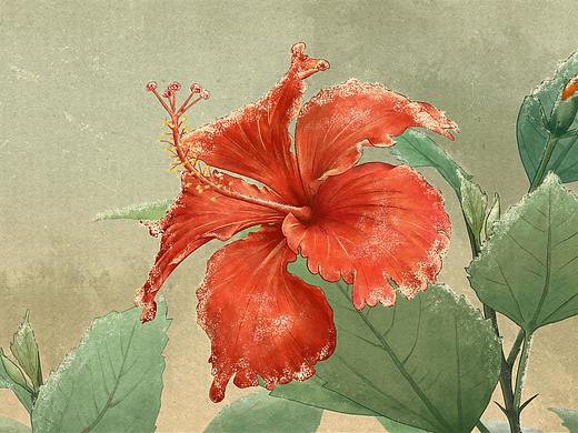 一些古風(fēng)圖（個(gè)人主頁(yè)-ZNTEyOTAwNjQ=） - 創(chuàng)作習(xí)作 - 站酷設(shè)計(jì)師一只大星星原創(chuàng)素材 - 站酷ZCOOL