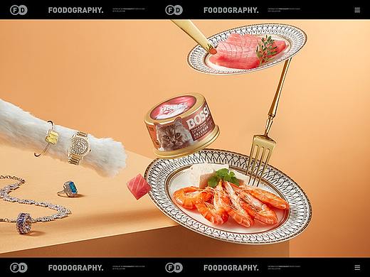 宠物食品摄影 | 总裁宝贝 ✖ foodography 