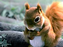 《free卫生巾》--绚石影视特效