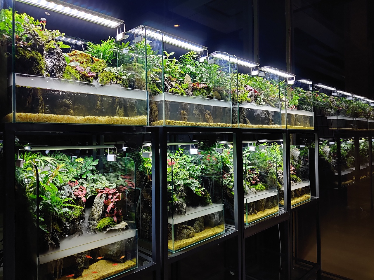 水陆常规缸，雨迹雲踪·Liangki良奇制作（图ZMjM5Njg2Nzc2） - 其他手工艺 - 站酷设计师Liangki良奇原创素材 - 站酷ZCOOL