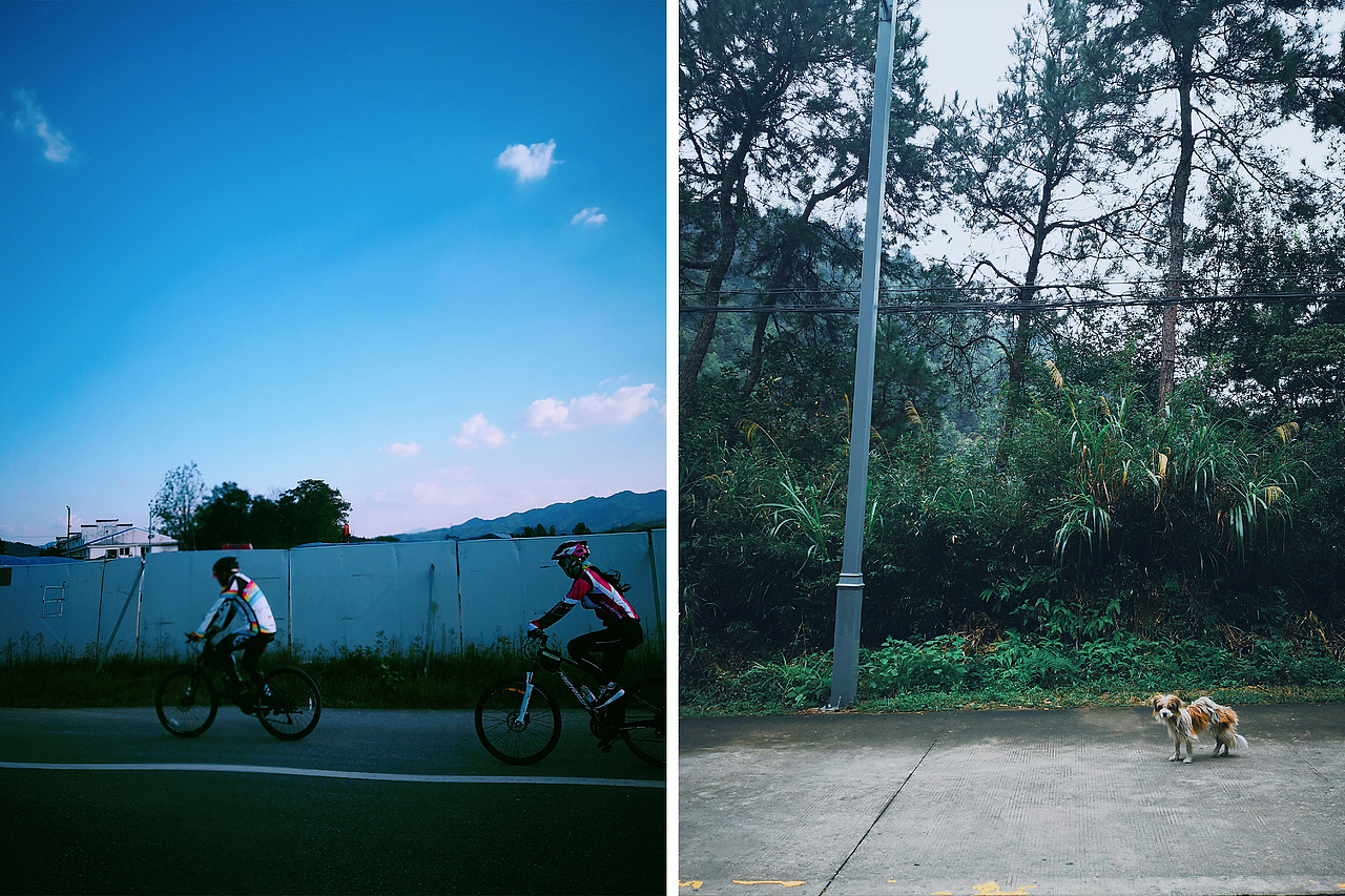 小梦的随手拍-第2期