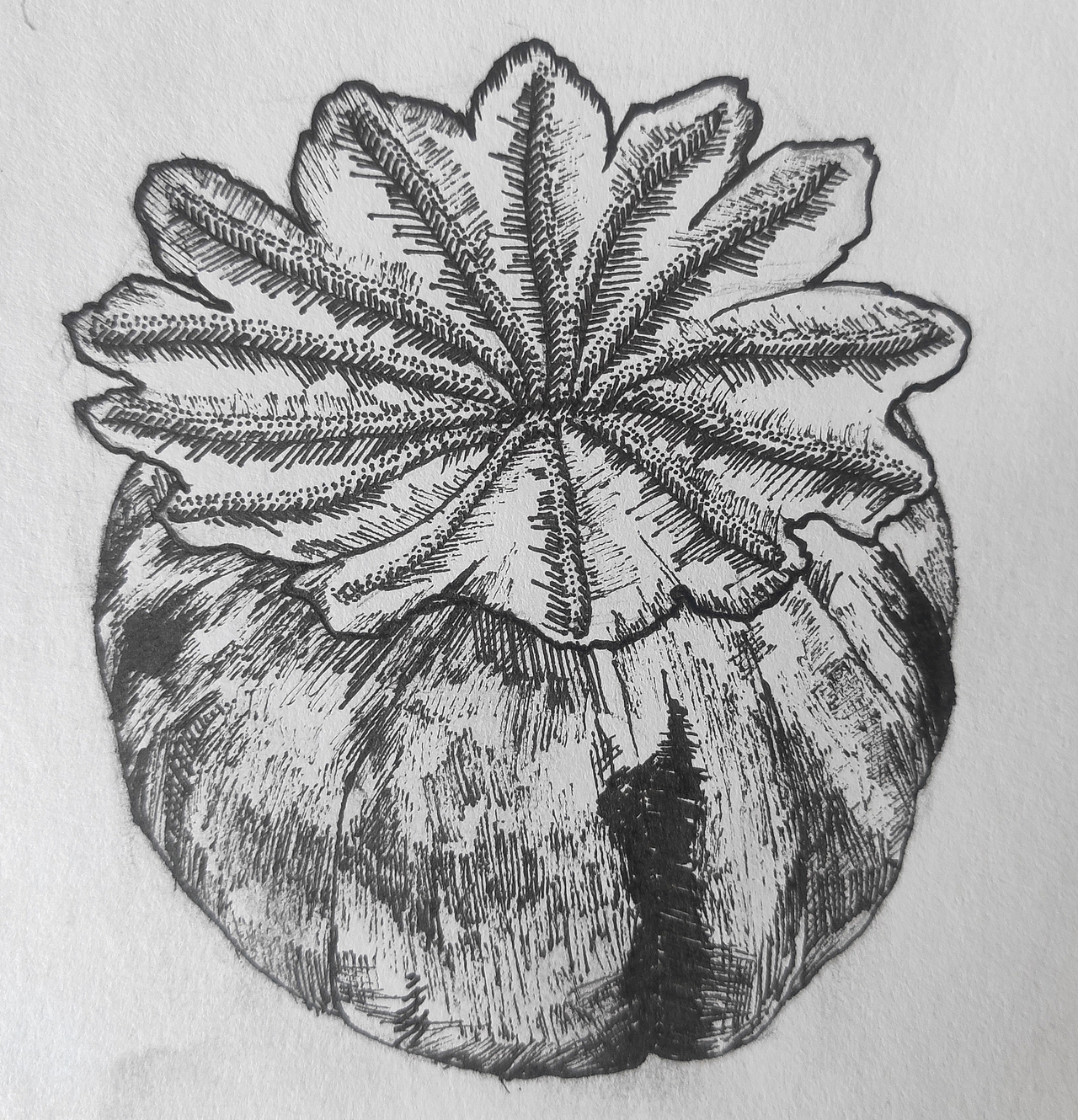 之前的随手练习