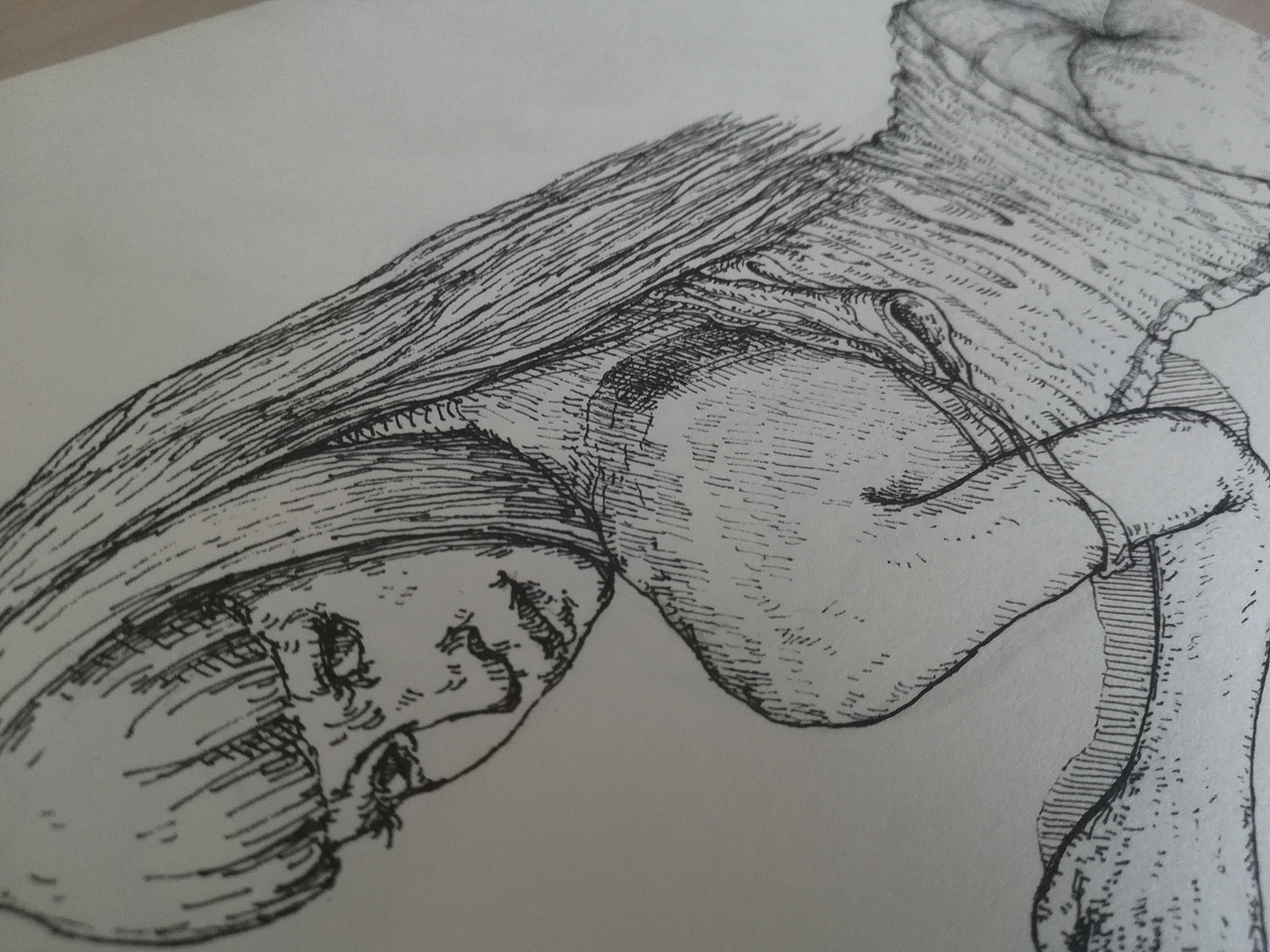 公虾米，来碗里，美味又美丽（图ZMTE4MzI4NjYw） - 创作习作 - 站酷设计师超级大反派原创素材 - 站酷ZCOOL