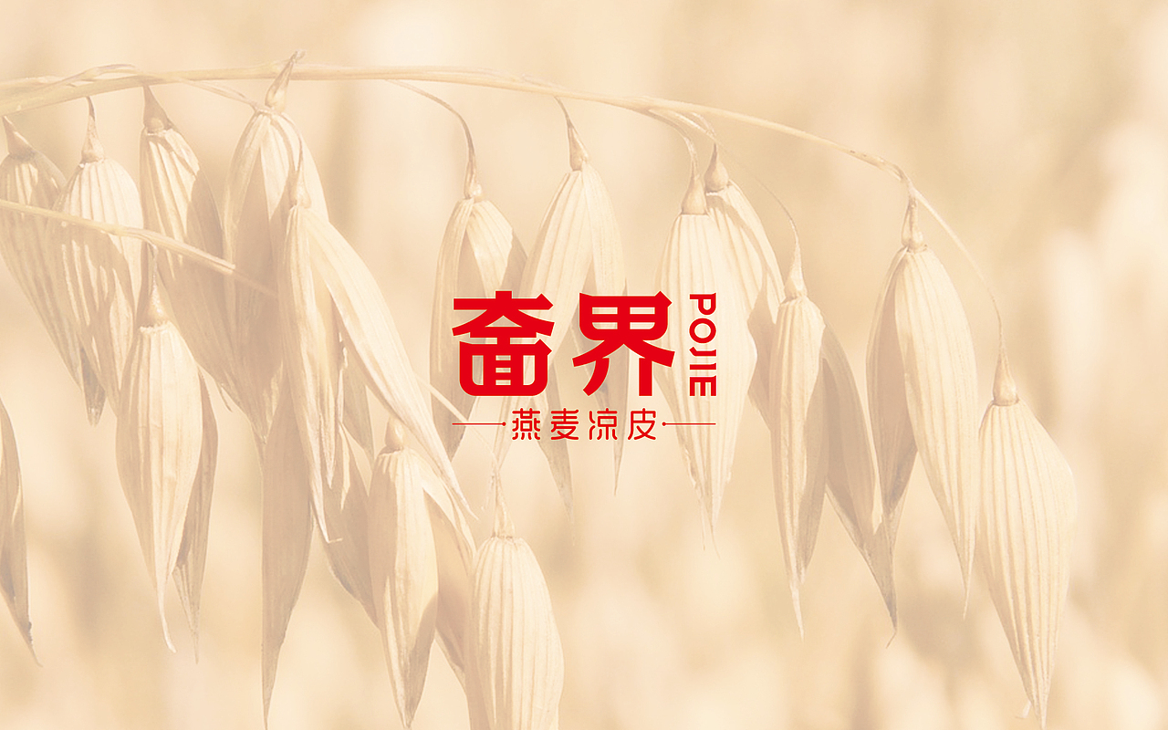 奤界-燕麦凉皮|瑞智博诚品牌设计（图ZMTkyNDgzOTM2） - 品牌 - 站酷设计师王志永品牌设计原创素材 - 站酷ZCOOL