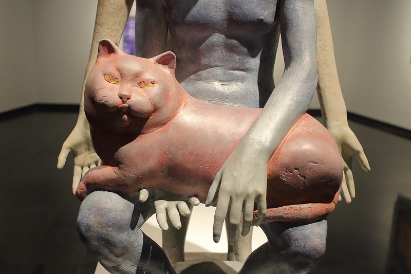 作品：奇怪人类图鉴