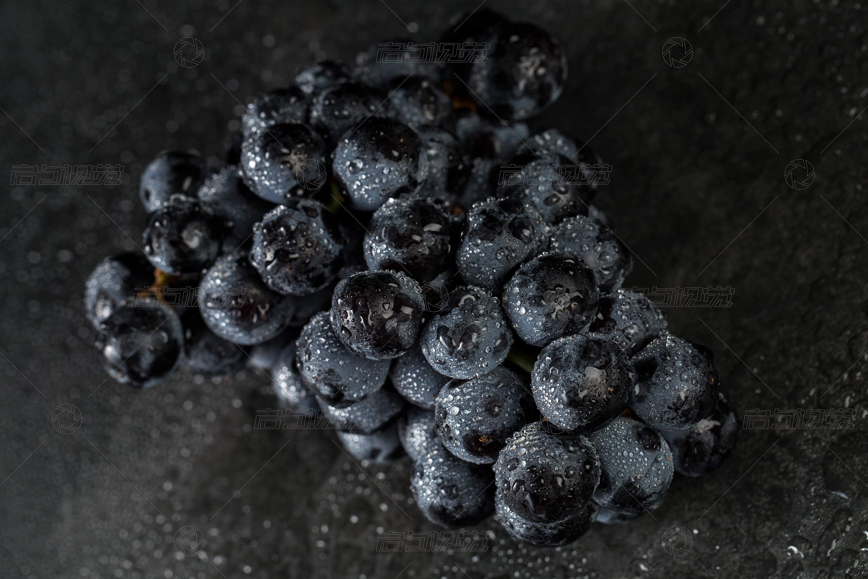 黑葡萄水果摄影图高清摄影大图-千库网