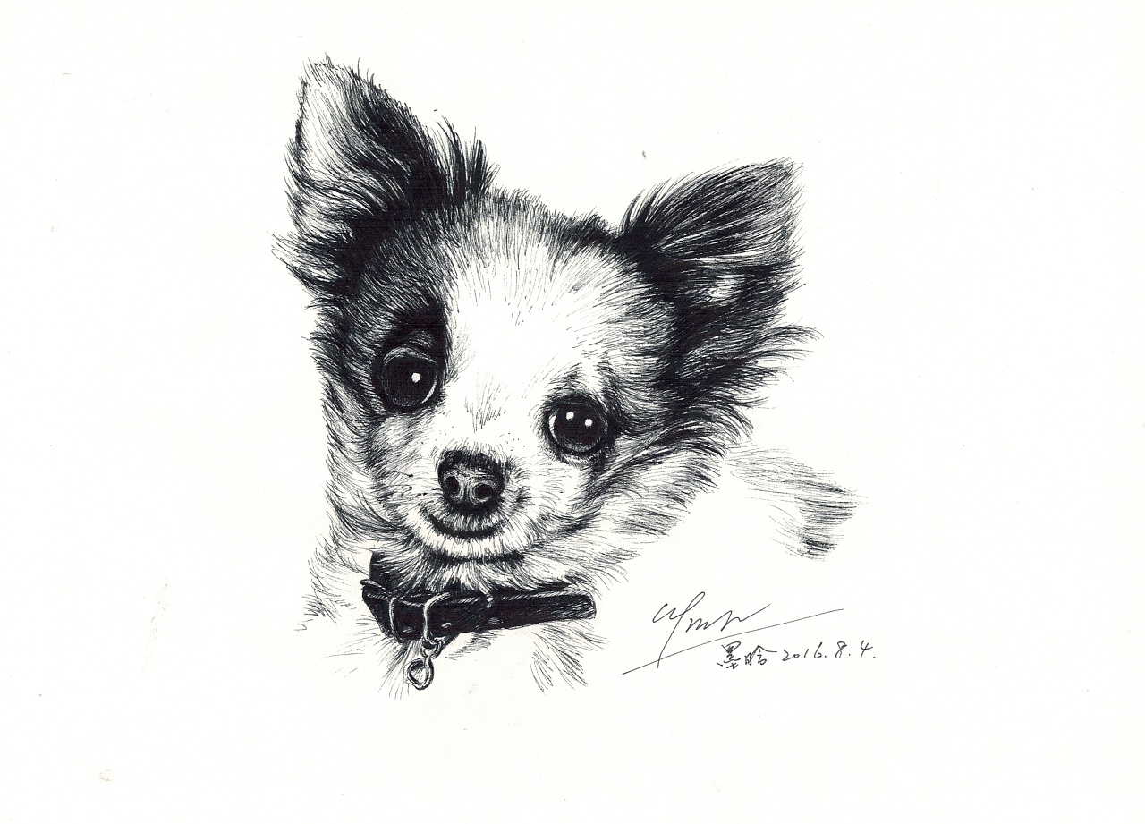 碳素笔针管笔临摹习作