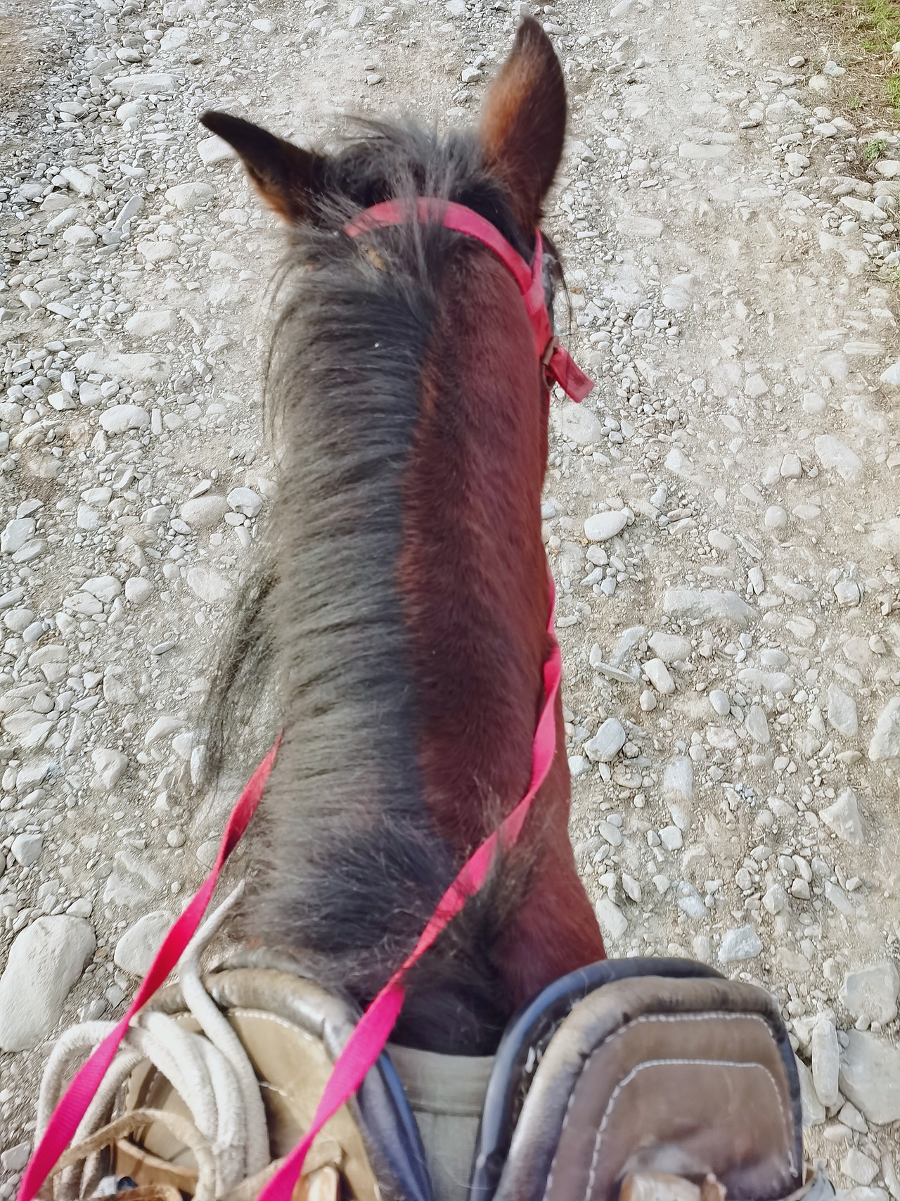 【原创】摄影打卡/3（图ZMjI2NjIzMzAw） - 风光摄影 - 站酷设计师蒋刀石头布原创素材 - 站酷ZCOOL