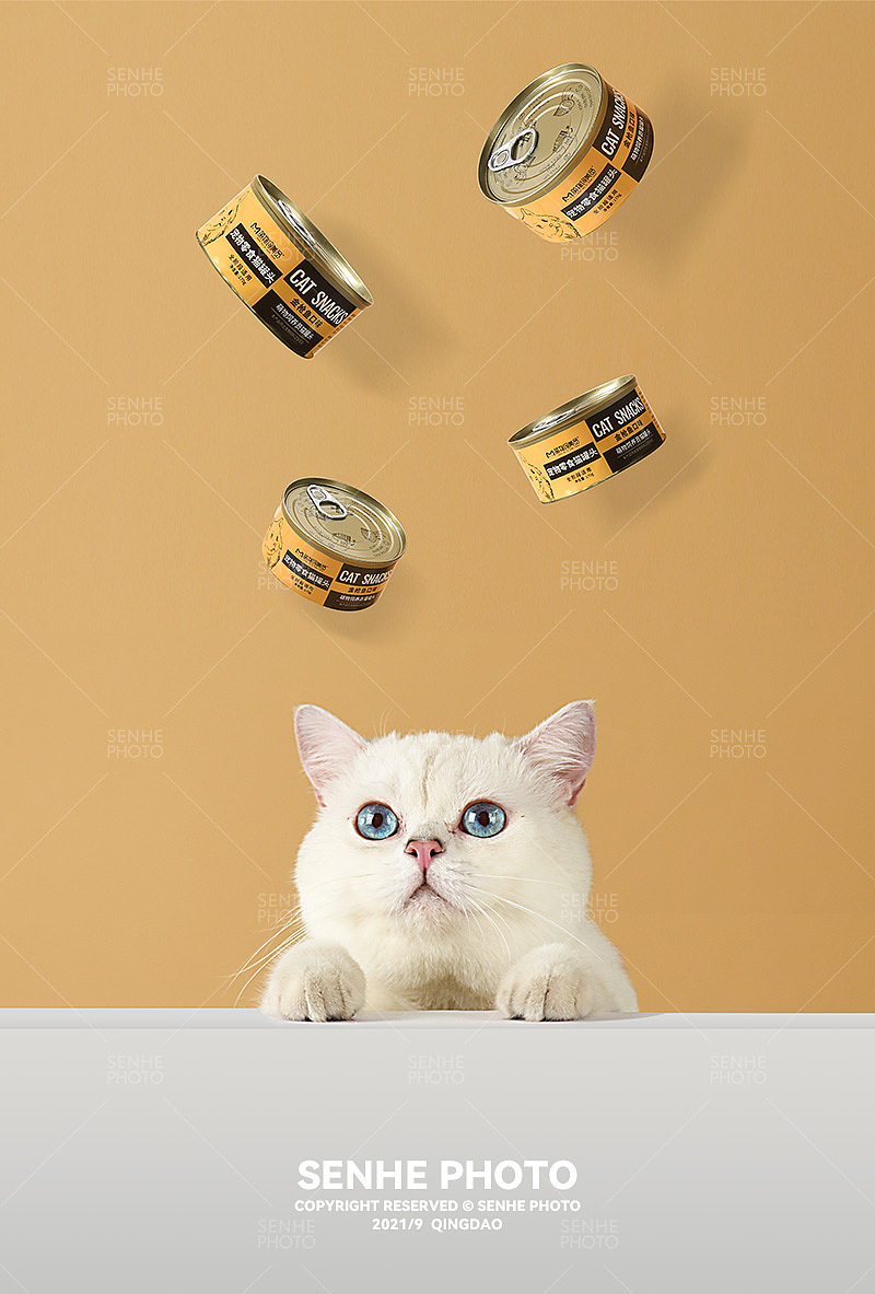 猫粮摄影 | 萌物饲养员品质宠物粮（图ZMjcwNjI5MDM2） - 产品摄影 - 站酷设计师森和视觉摄影原创素材 - 站酷ZCOOL