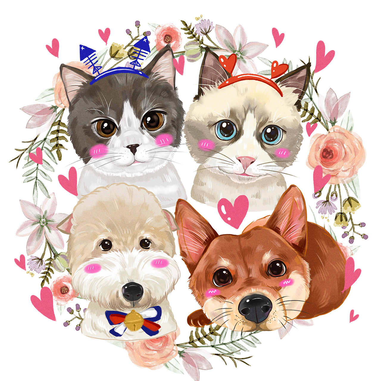 可爱猫猫狗狗系列壁纸_动物_太平洋科技