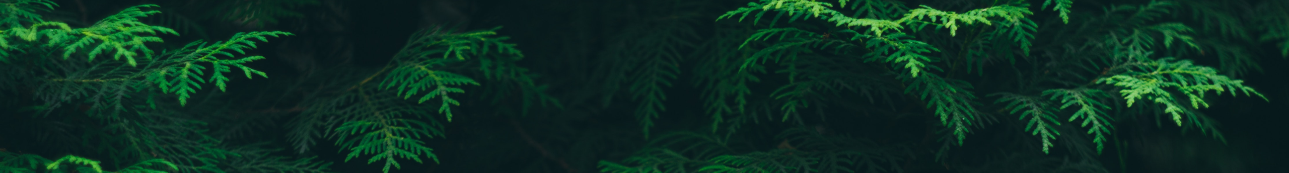 八兩UI的個(gè)人主頁（封面預(yù)覽） - 主頁封面設(shè)置 - 站酷設(shè)計(jì)師八兩UI原創(chuàng)素材 - 站酷ZCOOL