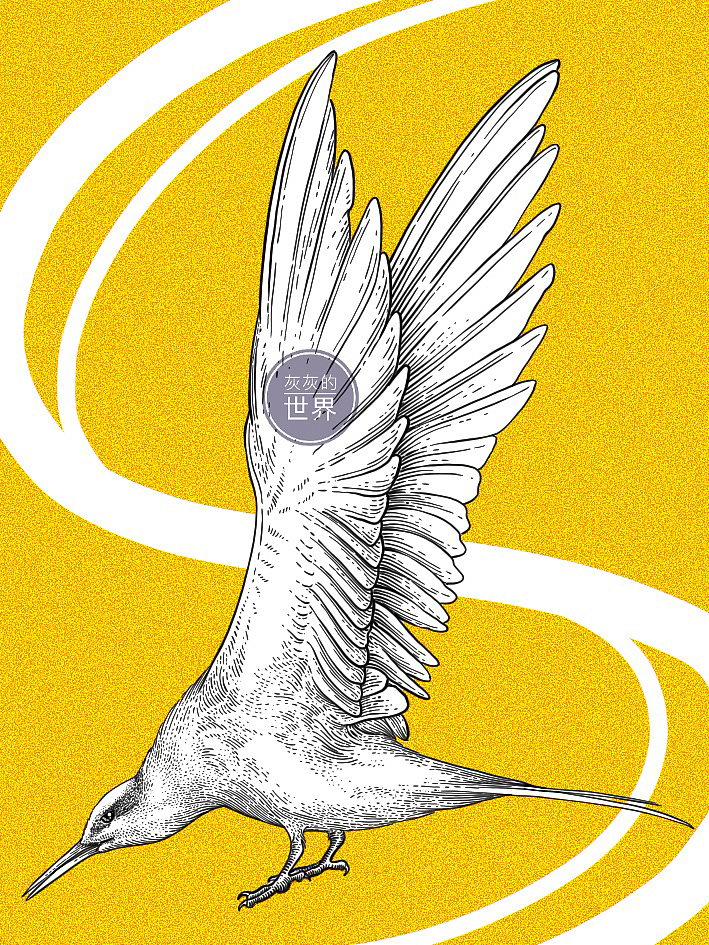 《自然之歌》-百鸟齐鸣节选（更新中）（图ZMzM1MDQ1NzM2） - 艺术插画 - 站酷设计师灰灰的世界原创素材 - 站酷ZCOOL