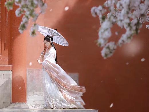 梅花生香栖霜雪，凌寒高洁不染尘。