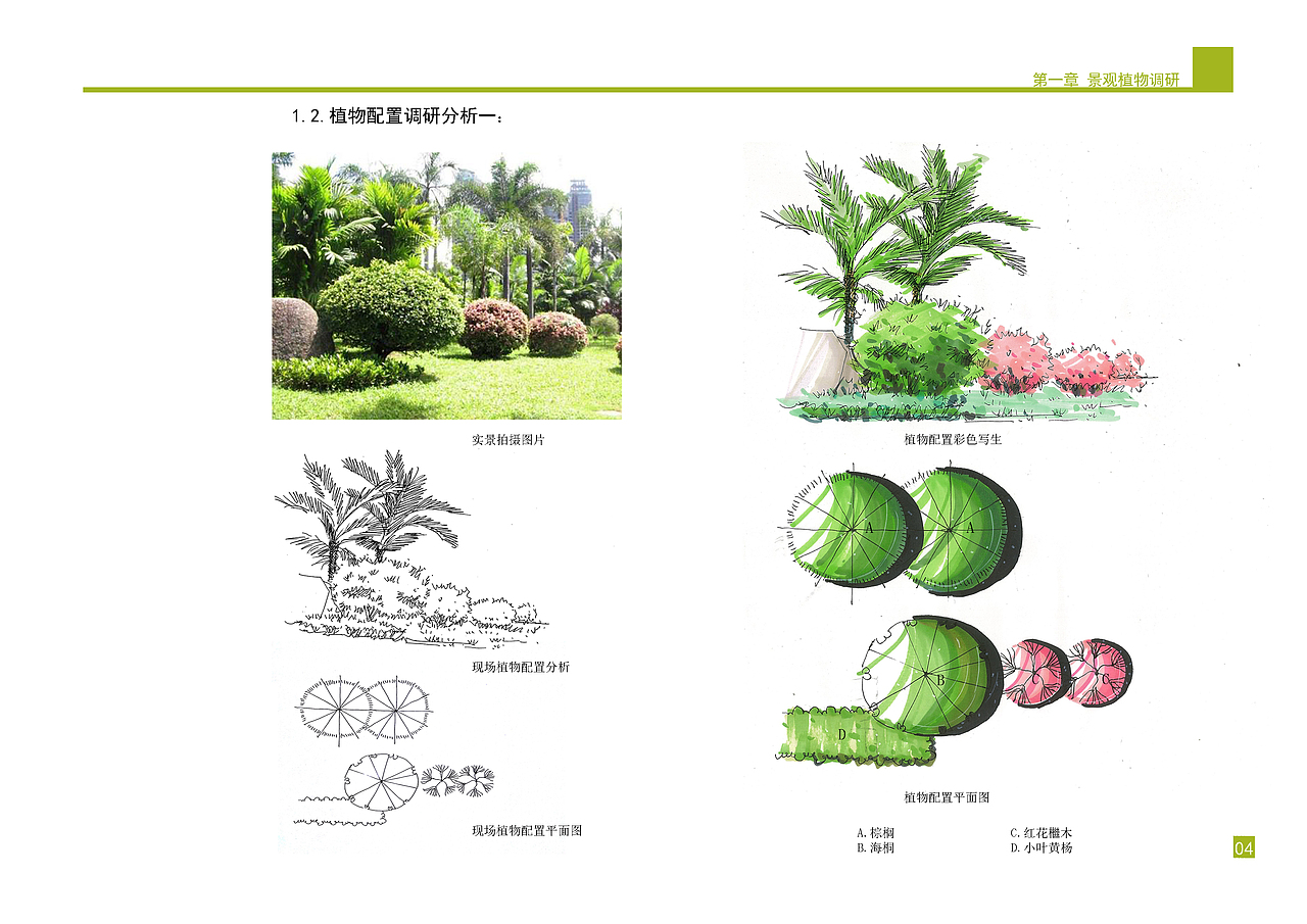 庭院景观植物设计方案