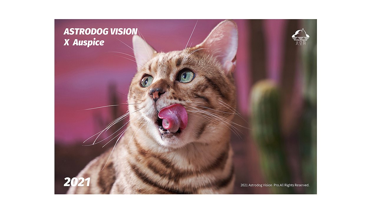 宠物商业摄影-安贝原生全价猫粮/狗粮（图ZMjc1MjkxODQ4） - 产品摄影 - 站酷设计师太空狗视觉原创素材 - 站酷ZCOOL