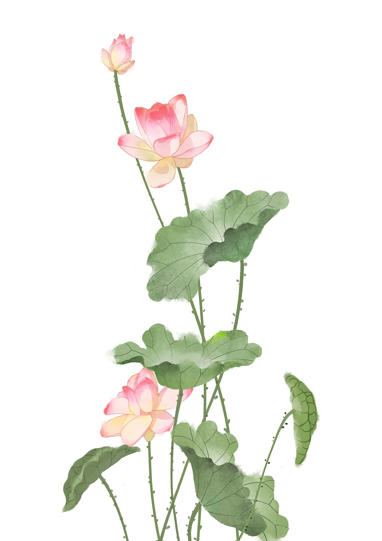 荷花（图ZMjExNzk2MjQ0） - 艺术插画 - 站酷设计师DOOMMOOD原创素材 - 站酷ZCOOL