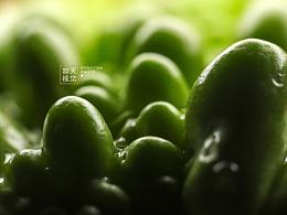 菜菜的世界（一）