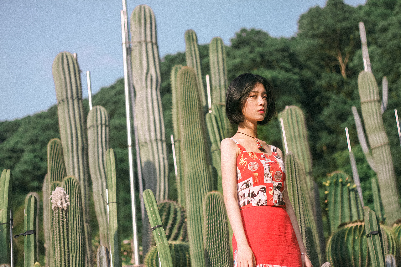 仙人掌（图ZNzg3MzczMDQ=） - 人像摄影 - 站酷设计师L猫不吃鱼原创素材 - 站酷ZCOOL