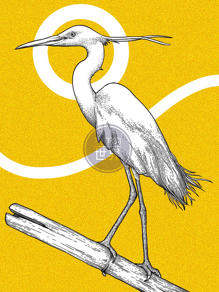 《自然之歌》-百鸟齐鸣节选（更新中）（图ZMzM1MDQ2MDAw） - 艺术插画 - 站酷设计师灰灰的世界原创素材 - 站酷ZCOOL