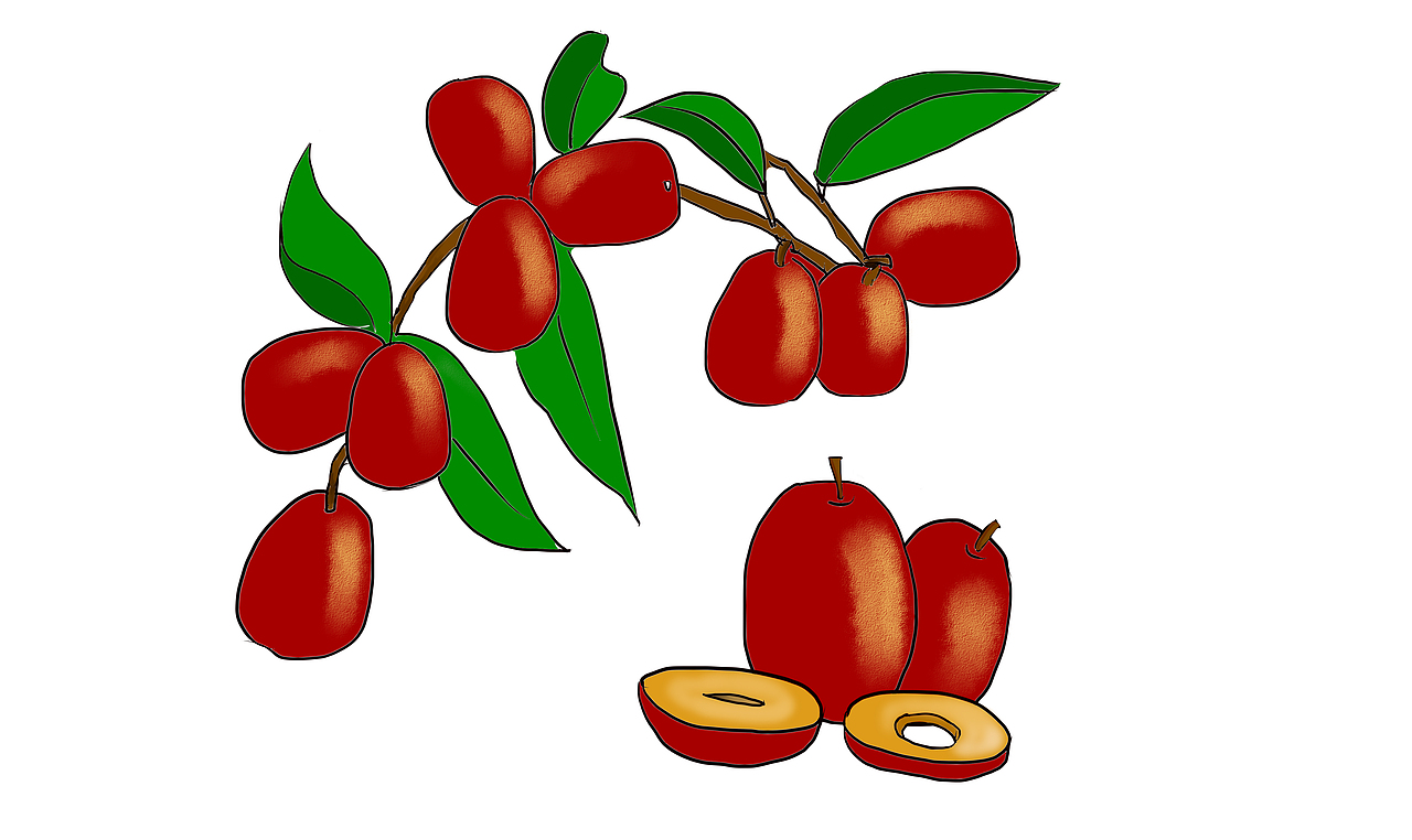 插画风包装——初体验案例