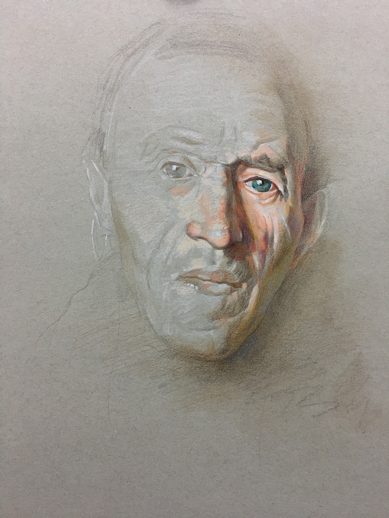 彩铅临摹.霹雳马72.冷灰素描纸