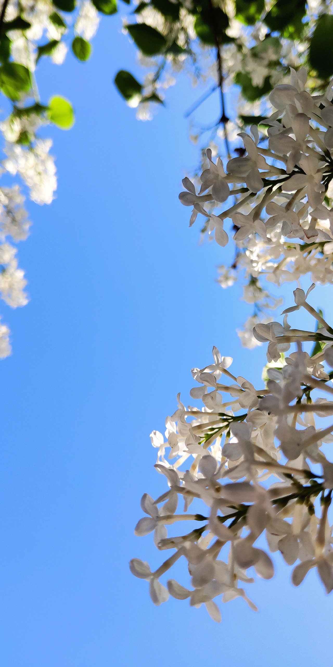 2019年北漂所见—手机随拍(上)（图ZMTk2MTI2MDc2） - 人文/纪实摄影 - 站酷设计师我是王冲原创素材 - 站酷ZCOOL