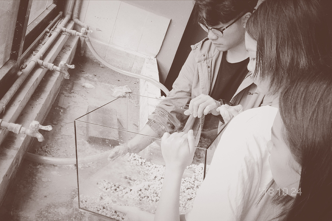 城市记忆/课程展览视觉