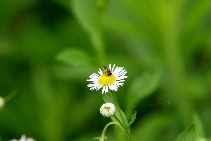 辛迪杨的个人主页（背景预览） - 主页背景设置 - 站酷设计师辛迪杨原创素材 - 站酷ZCOOL