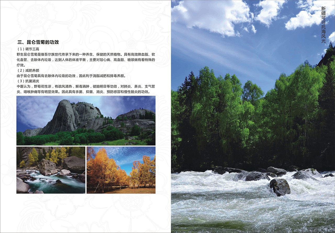 淘宝宣传小手册（图ZMjA0MjY3NjA=） - 电商 - 站酷设计师七玥pancy原创素材 - 站酷ZCOOL
