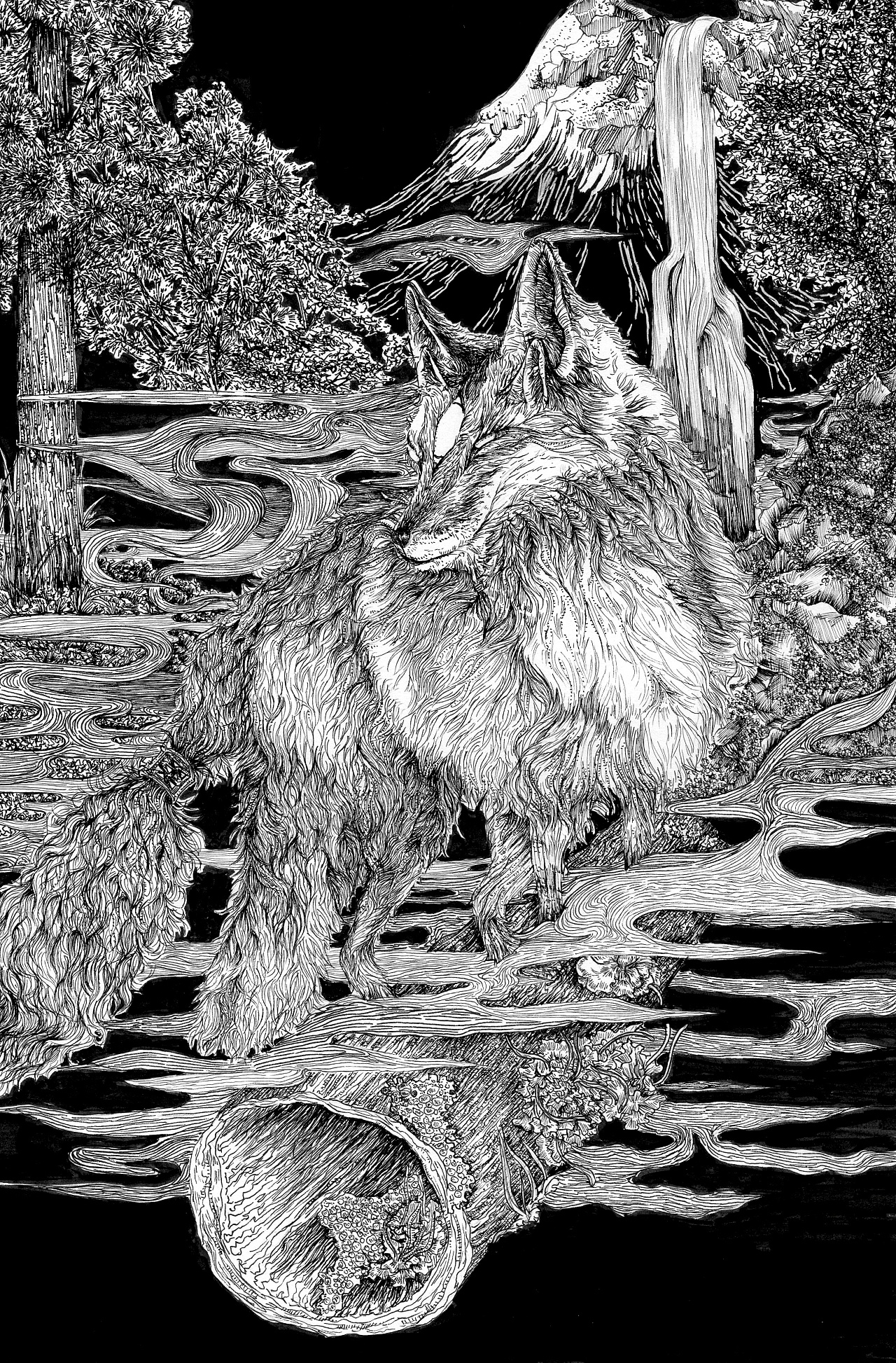 针管笔动物手绘黑白风格插画