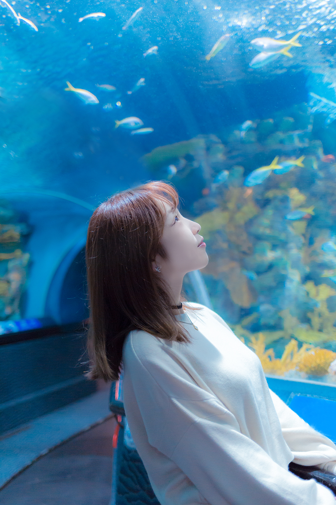 水族馆的光|摄影|人像摄影|keiko酱酱酱_原创作品-站酷zcool