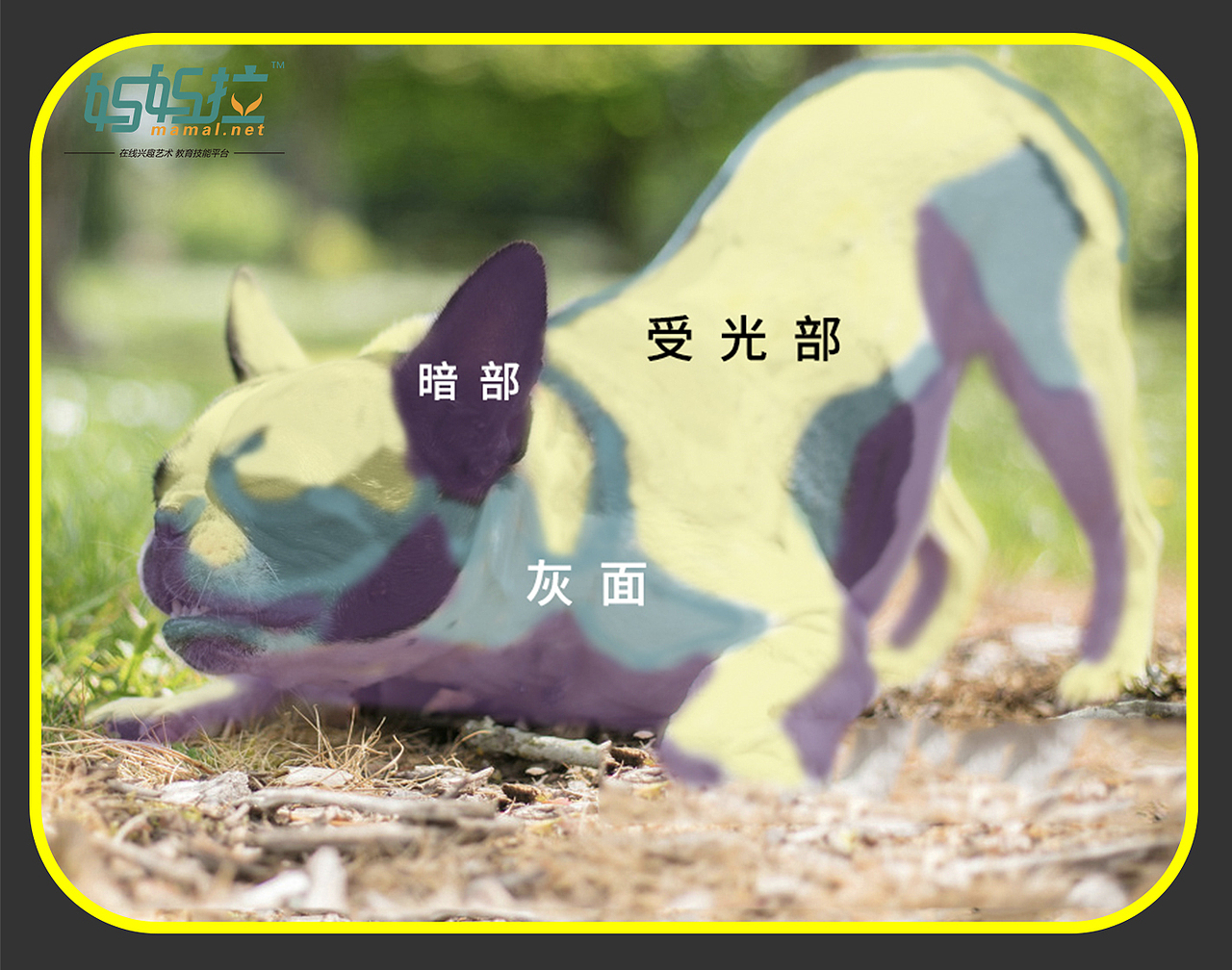 中央美院毕业裴俊飞老师妈妈拉艺术学院速写动物狗狗