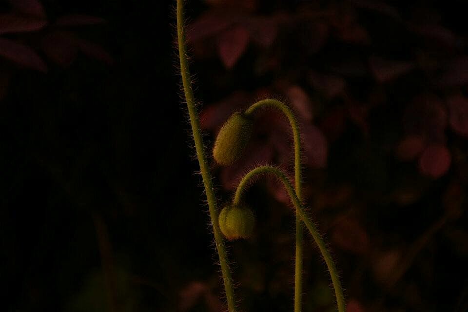 摄影课程作业（图ZMTQ3MzQxNzMy） - 其他平面 - 站酷设计师倔强如我原创素材 - 站酷ZCOOL