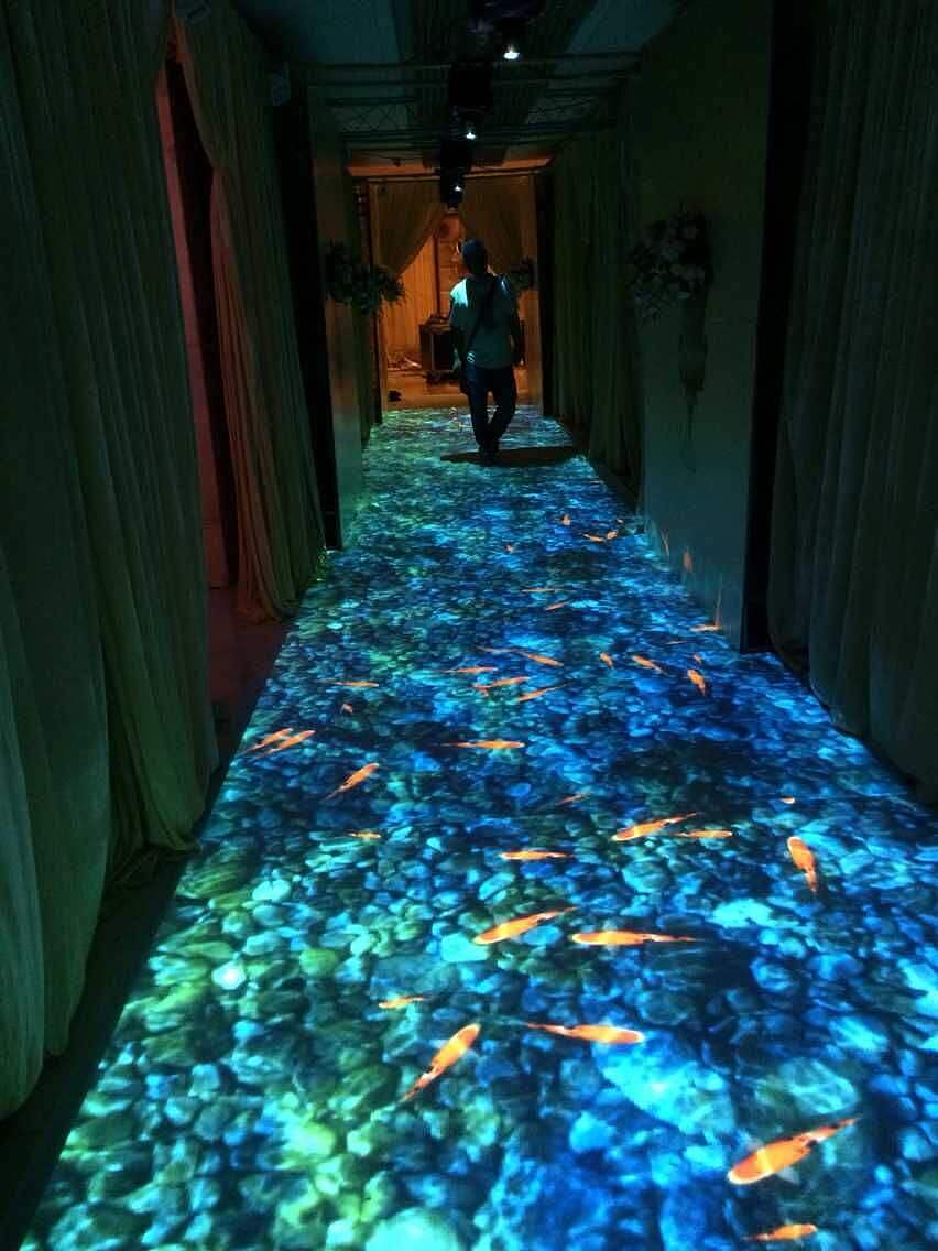 3d全息投影地面鱼互动投影厂家 ar光影互动