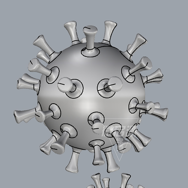 冠状病毒犀牛3D三维模型Rhino/OBJ/3DS/C4D/MAYA格式