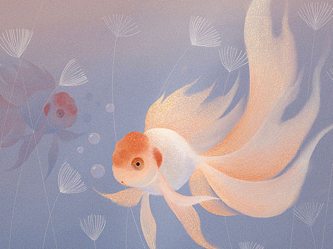 金魚的記憶（個人主頁-ZNTcxMjc3NzY=） - 創(chuàng)作習作 - 站酷設計師LineXY1215原創(chuàng)素材 - 站酷ZCOOL